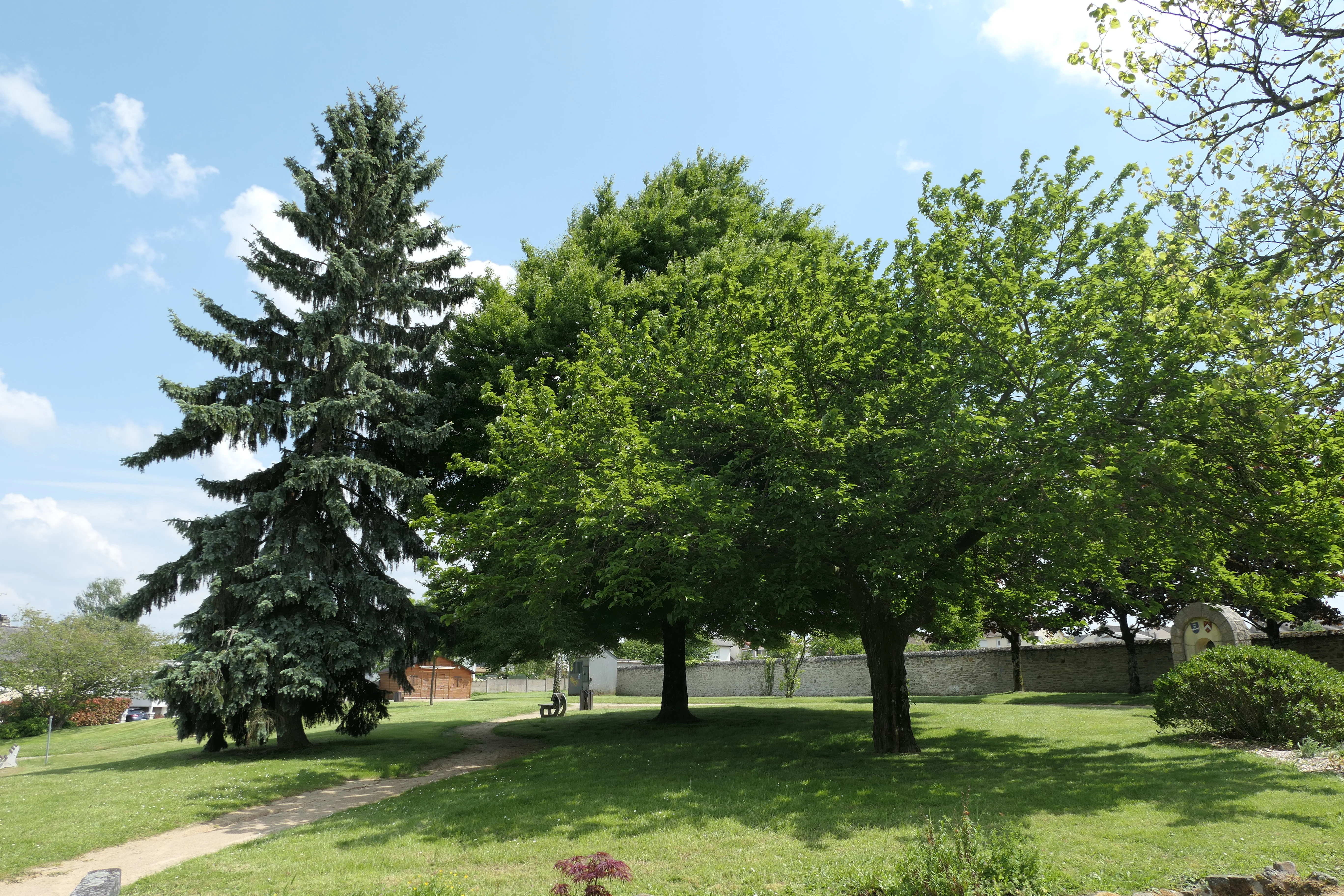 Jardin arboré de la mairie de Saint-Berthevin.